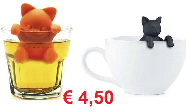 infusore thè gatto
