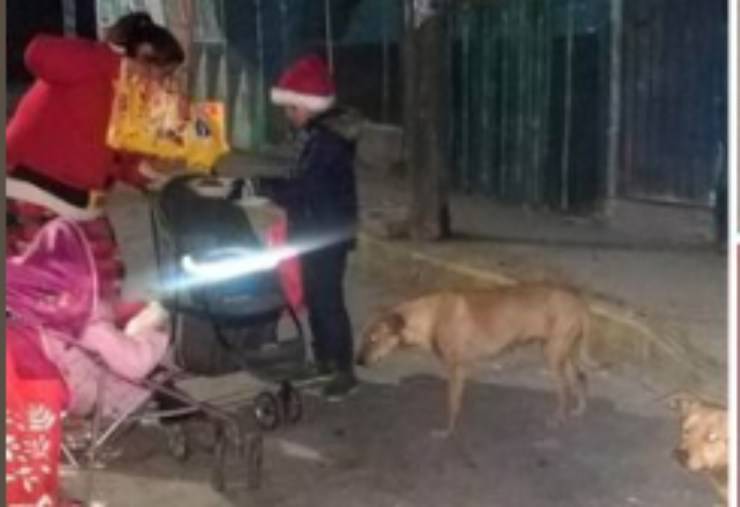 Tanto affetto e dolcezza per loro (Foto Facebook)