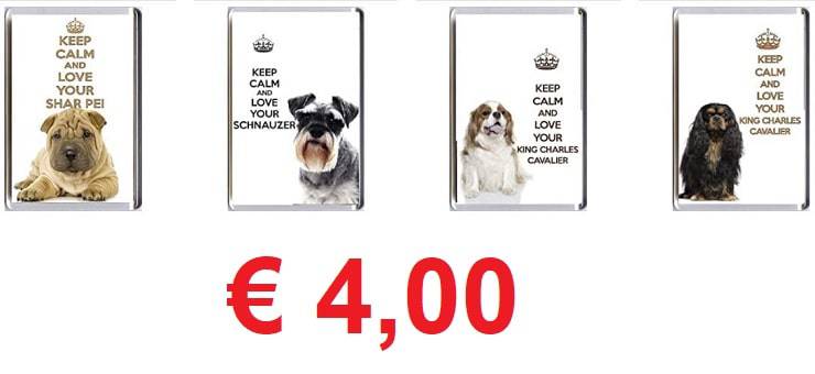 magnete frigo cane
