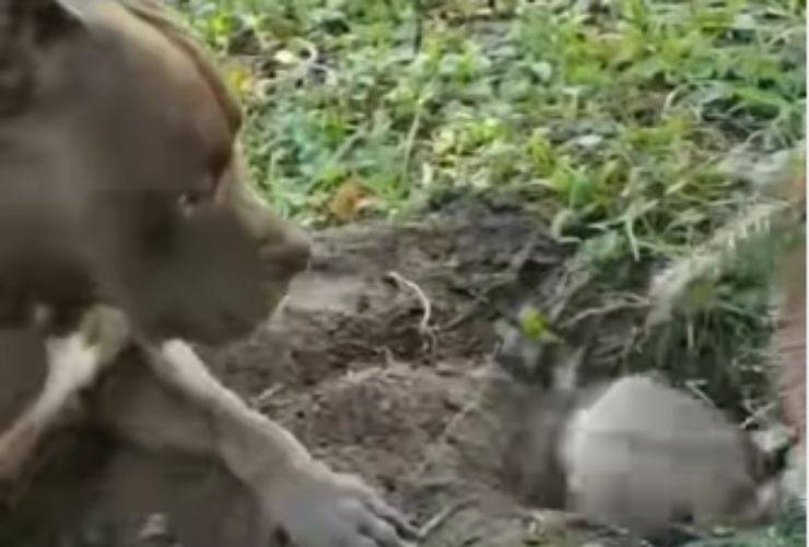 Un momento esilarante (Foto video)