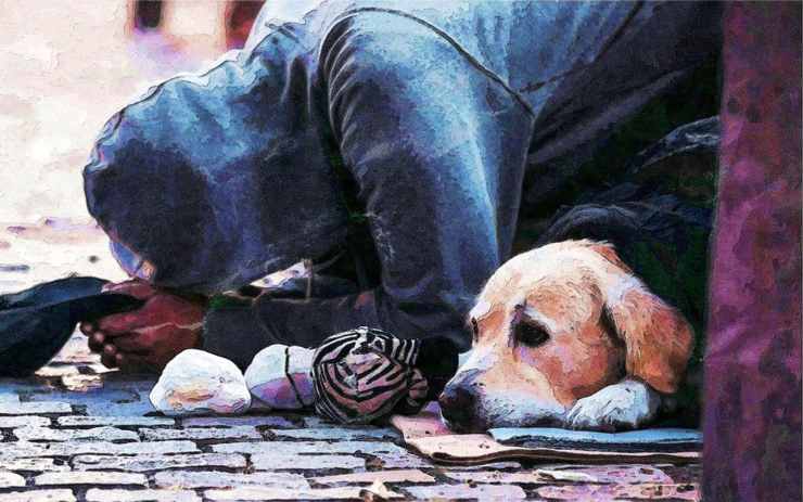 cane e senzatetto (Foto Pixabay)