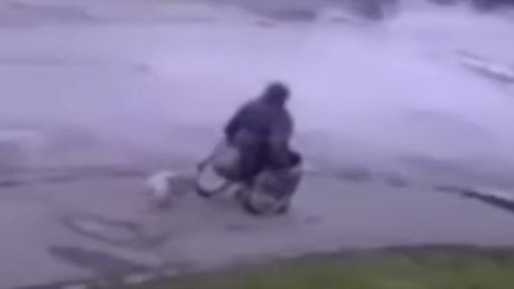 L'uomo che ha salvato il cane (Foto video)