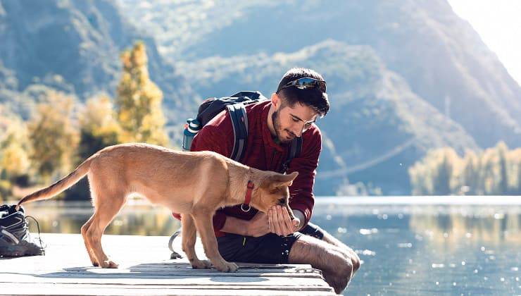 viaggi con cane