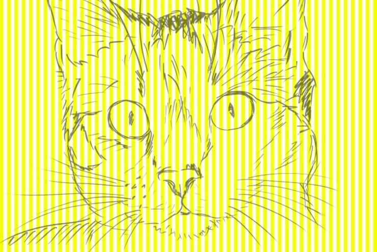 Soluzione del test visivo dell'animale tra le righe