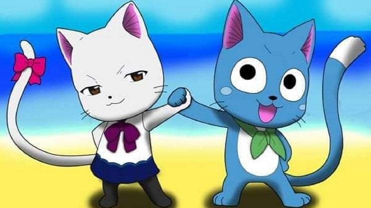 gatti Fairy Tail