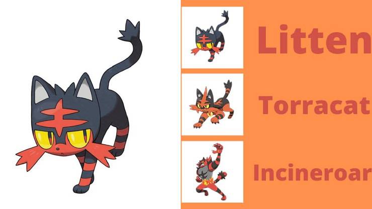 Gatto di fuoco Pokemon