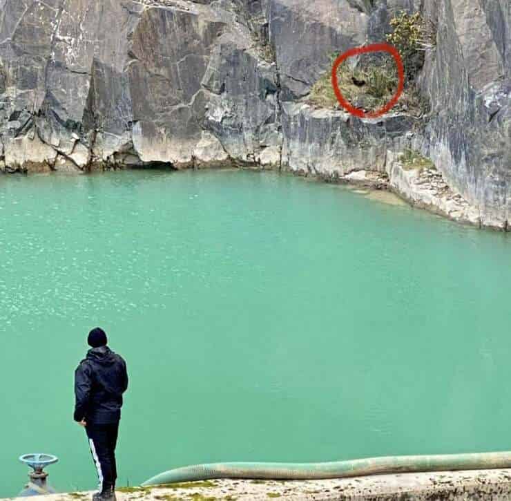 Cane precipita in una cava, uomo si getta nell'acqua gelida per salvarlo (Foto Facebook)