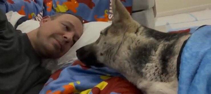 Kailani insieme ad uno degli operatori della Hope For Paws (Screen video)