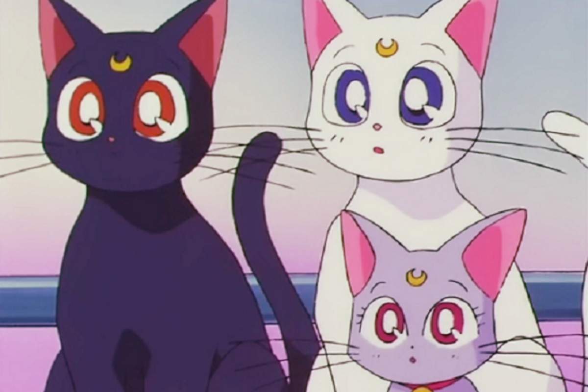 gattini di sailor moon