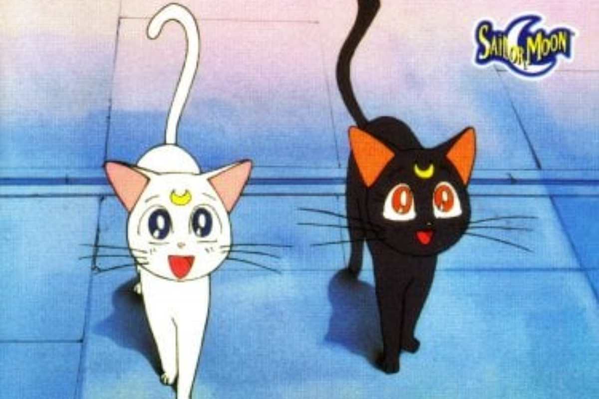 gatti in sailor moon