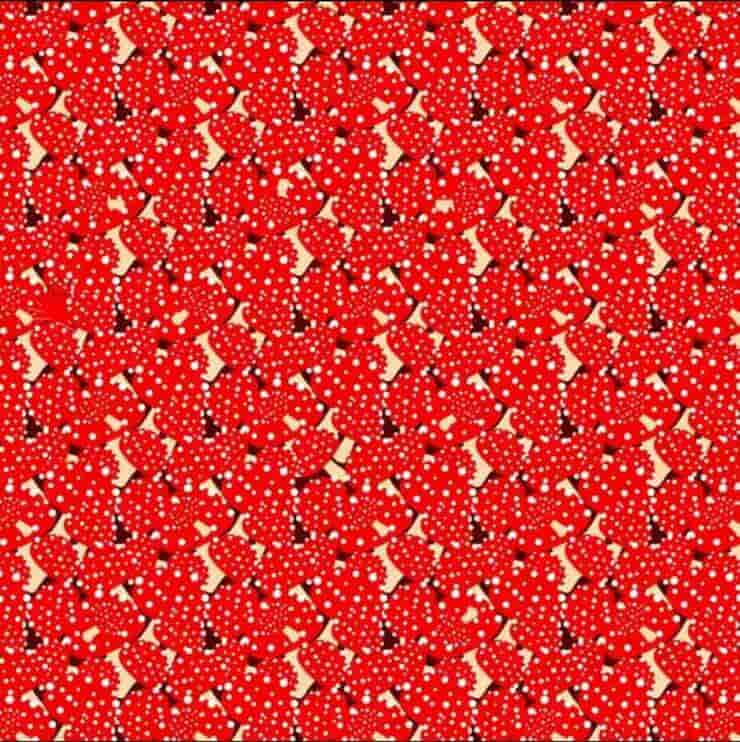 Trova l'intruso nascosto nel test visivo dei funghi