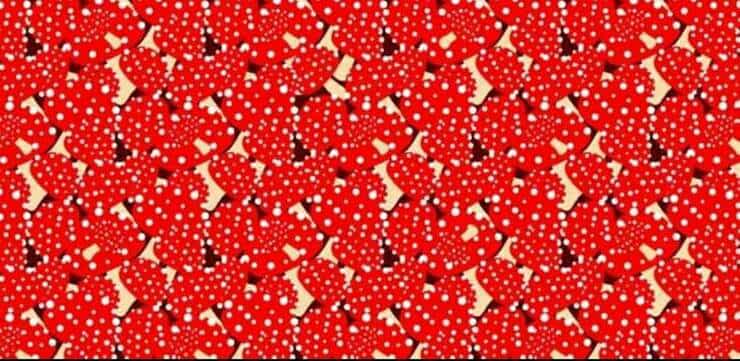 Trova l'intruso nascosto nel test visivo dei funghi