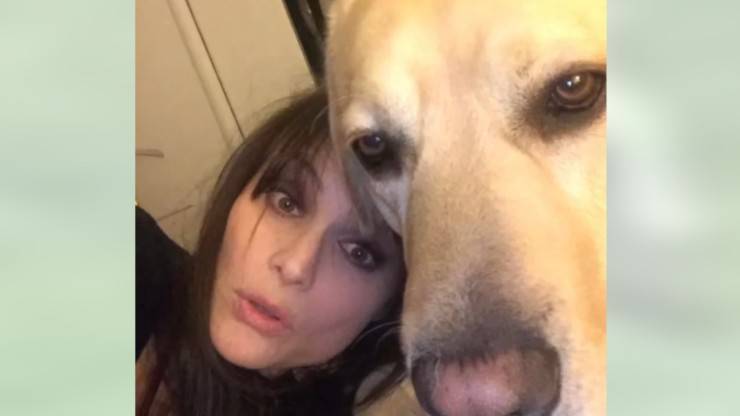 Chi è Leone, il cane di Lorena Bianchetti Lorena Bianchetti cane