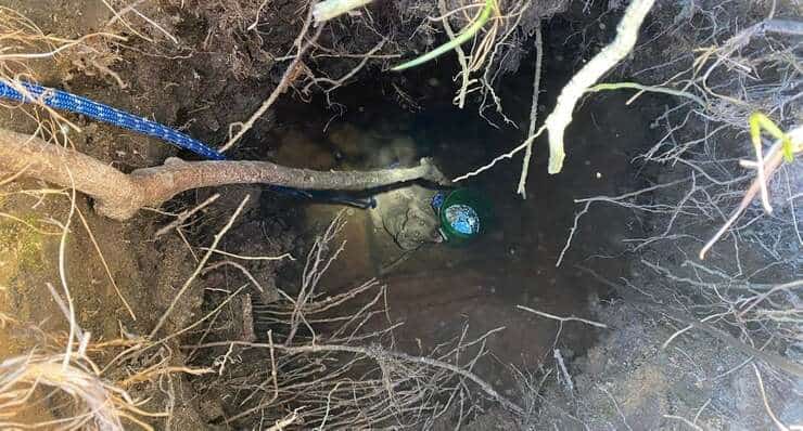 Cane precipita in una buca profondissima salvato dai vigili del fuoco (Foto Facebook)