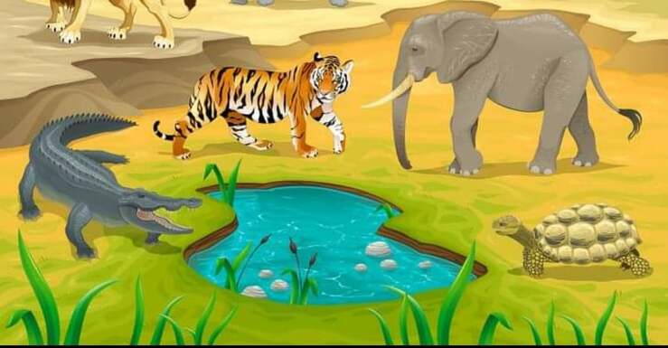 Il test visivo della savana riesci a trovare cosa manca nell'immagine?