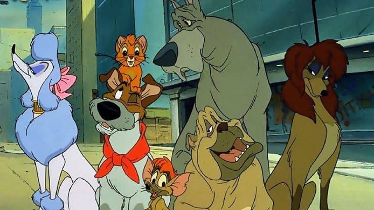 Cani Oliver & Company