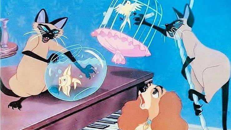 Gatti Lilli e il vagabondo