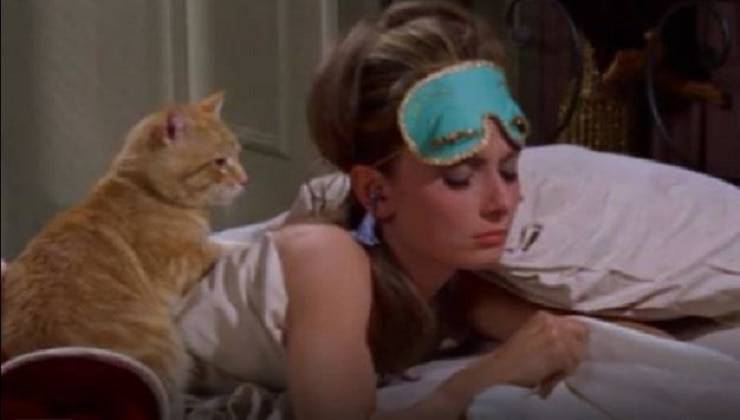 Gatto in Colazione da Tiffany