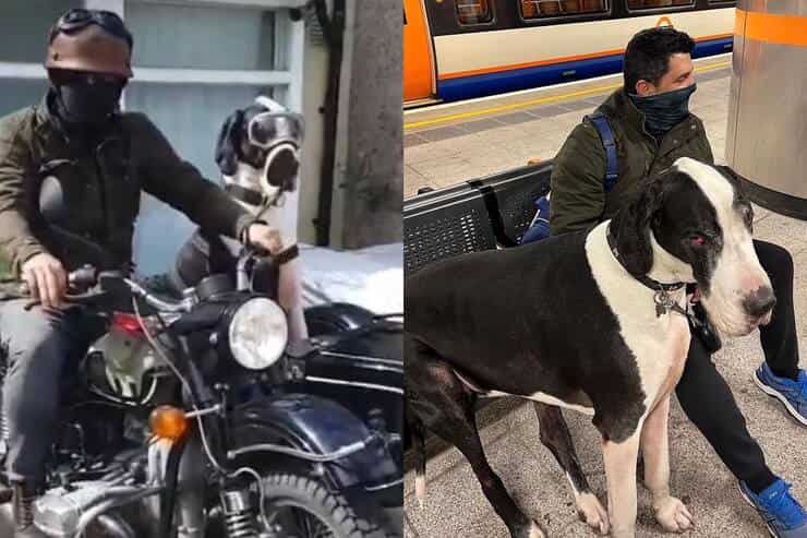 Diego insieme al suo papà umano (Screen video Instagram)