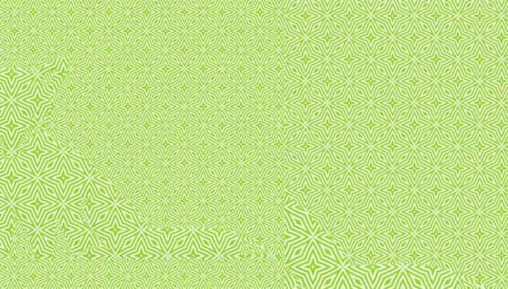 Il test visivo impossibile : trova la creatura nascosta in 10 secondi