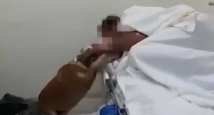 Lucimara incontra il suo papà umano (Screen video)