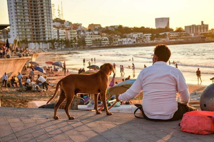 Il cane e il fotografo (Foto Facebook)