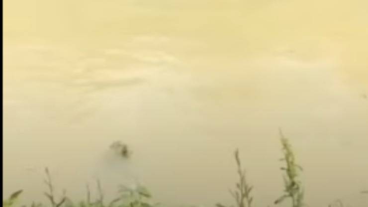 Il fiume (Foto video)