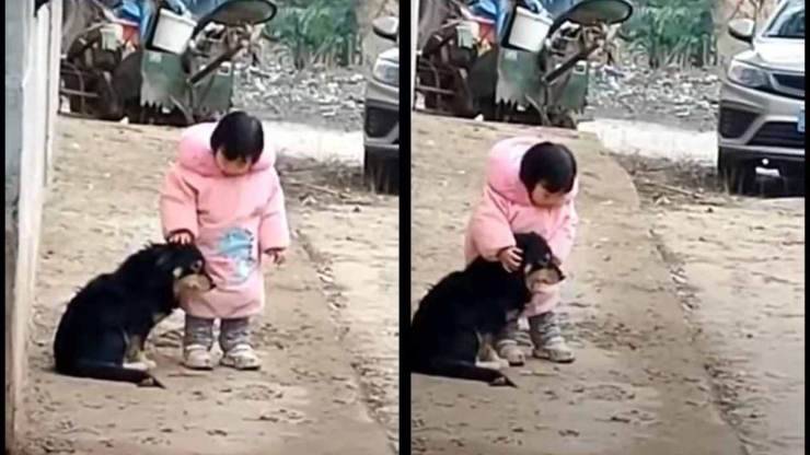 bimba copre orecchi cane spaventato