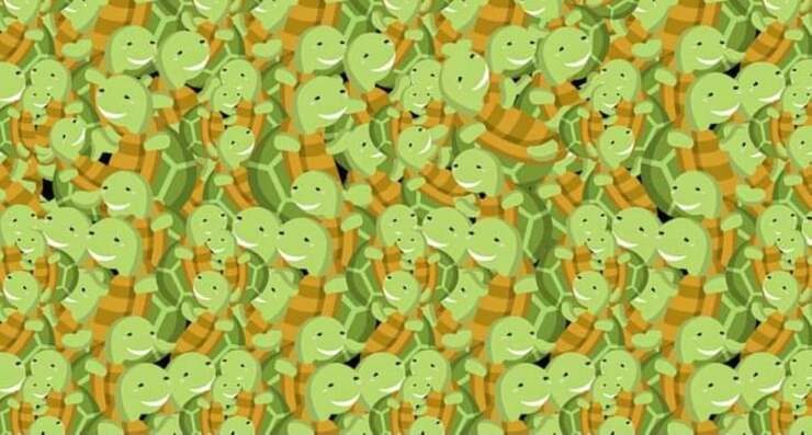 Il test visivo dell'intruso nascosto tra le tartarughe: trovalo in 5 secondi
