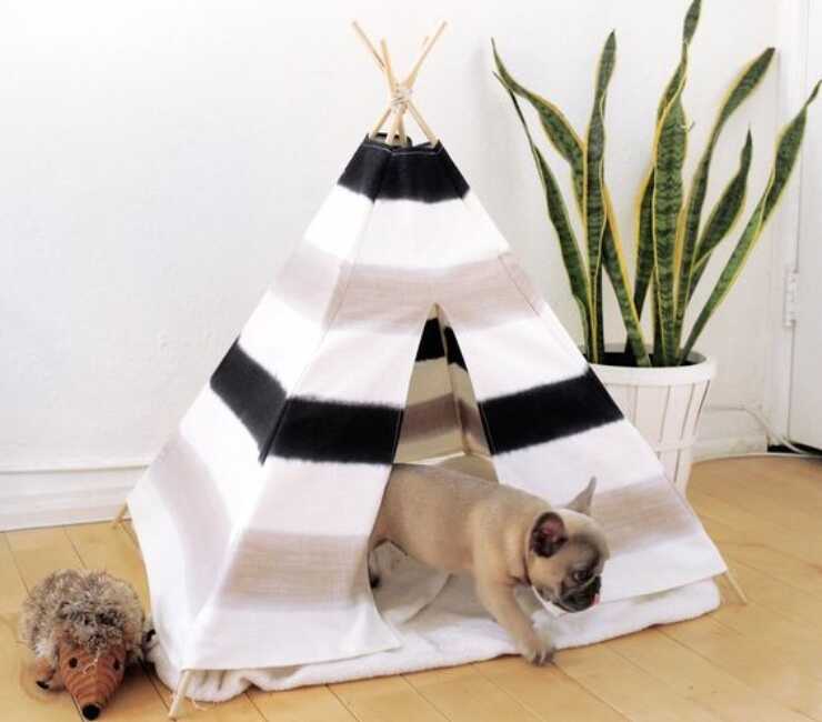 tenda per cani fai da te