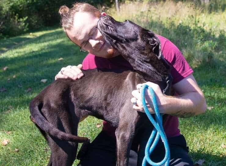 Il cane emaciato per punizione dopo appena una settimana dal suo salvataggio con un volontario (Foto Facebook)