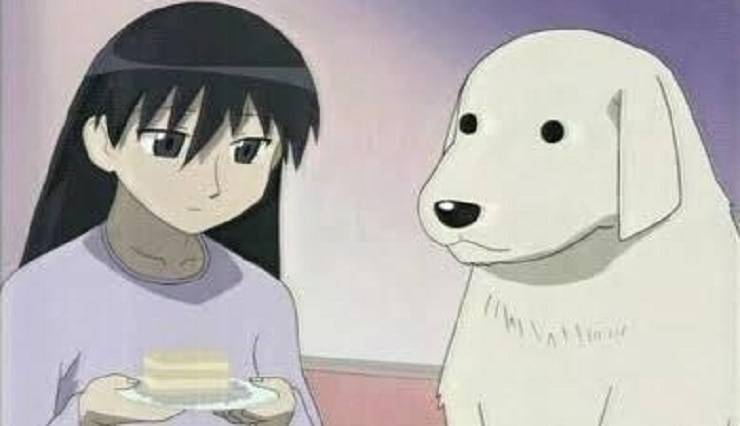 animali Azumanga Daioh