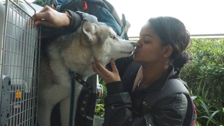 studentessa rifiuta di abbandonare ucraina