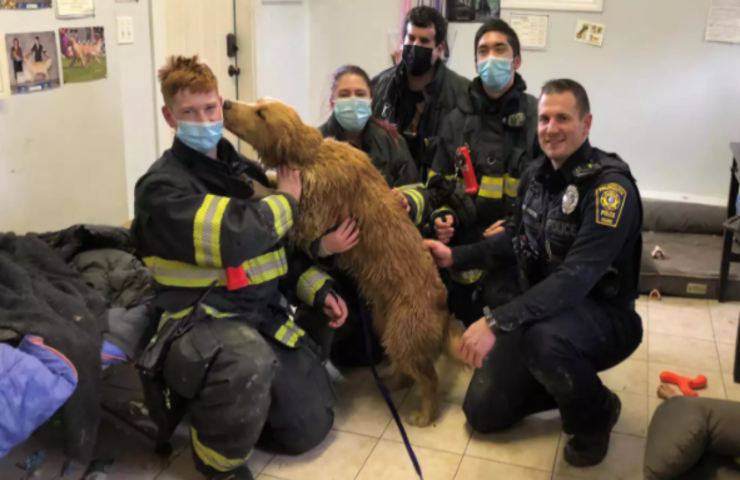 cane bloccato tubo drenaggio pieno ghiaccio