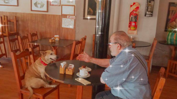 cane tiene compagnia al bar