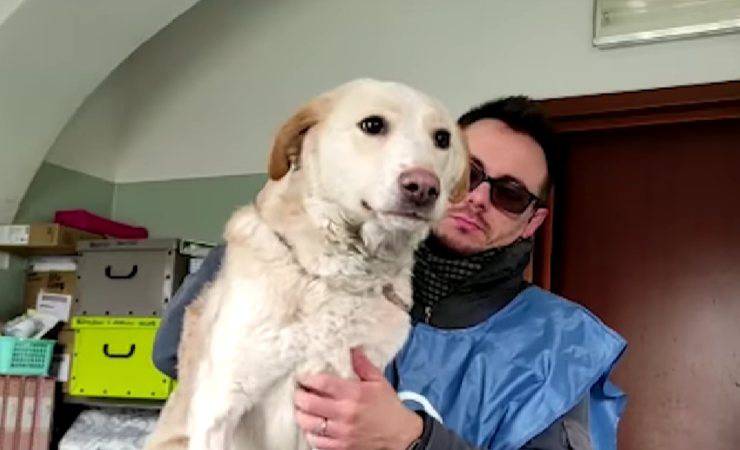 cane abbandonato tra i rifiuti