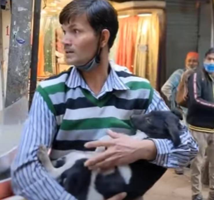 Uomo pazzo salva cane