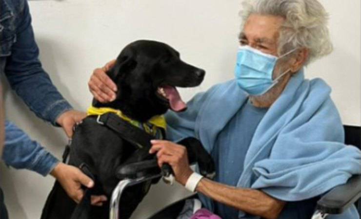 cane aspetta fuori da ospedale