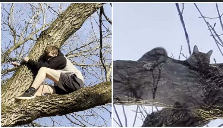 Bambino sale sull'albero per salvare un gatto ma resta bloccato (Screen Video)