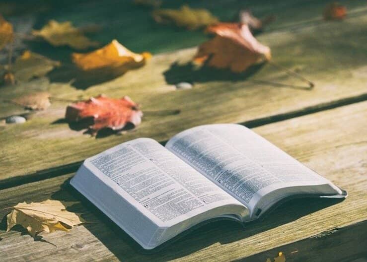 libro nel test delle personalità (Foto Pixabay)