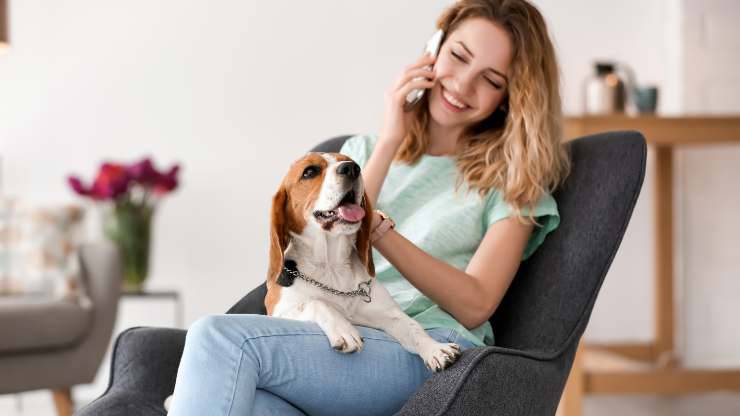 cane abbaia quando siamo telefono
