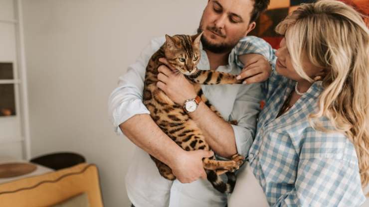 gatti si affezionano uomo