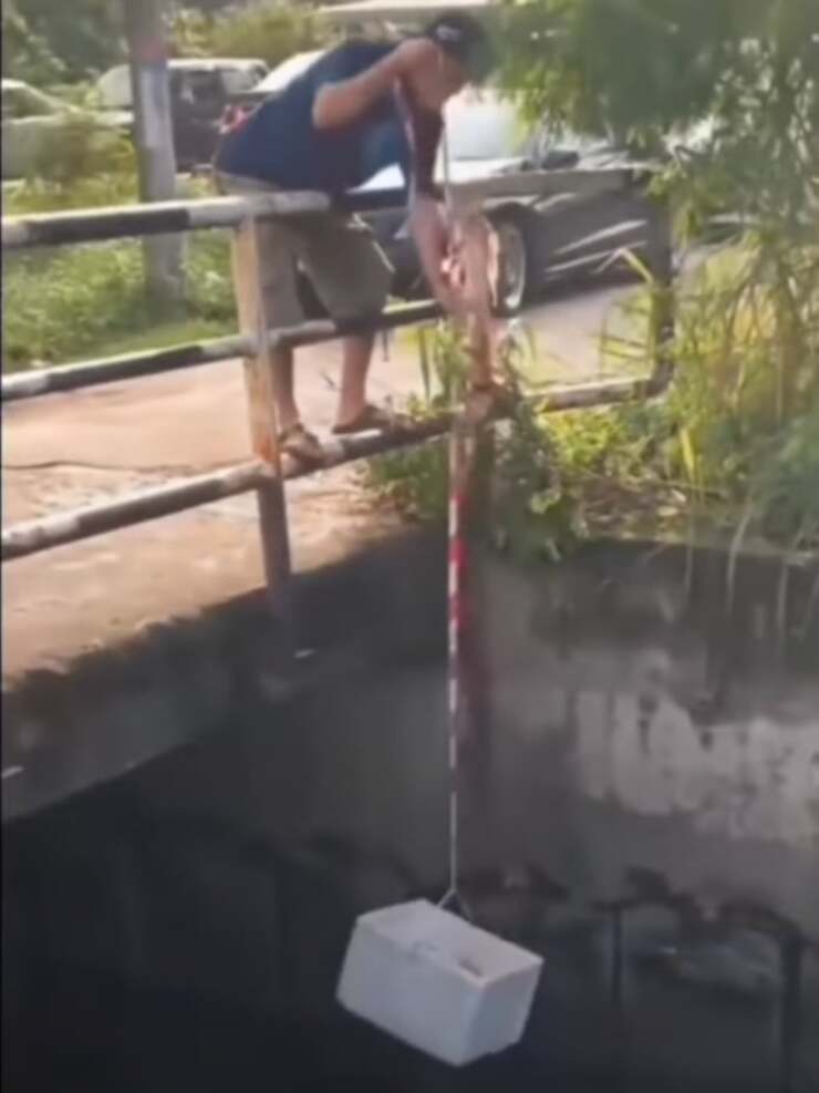 Gatto precipita all'interno di un canale, uomo fa di tutto per salvarlo (Screen Video)