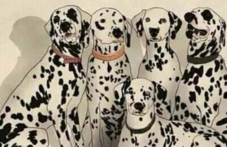 Scopri quanto sei attento con il test: trova l'animale nascosto tra i dalmata