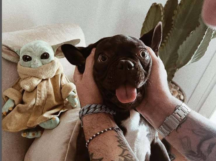 Andrea Cerioli e il suo cane