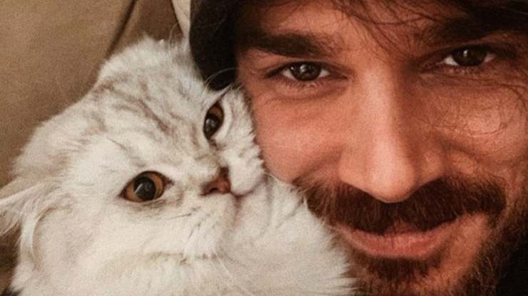 Andrea Cerioli e i suoi gatti