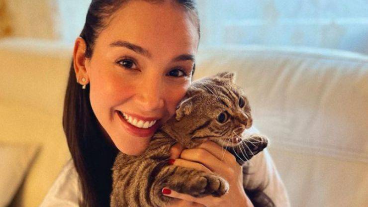 Chi sono i gatti di Paola Di Benedetto Paola Di Benedetto e i suoi gatti
