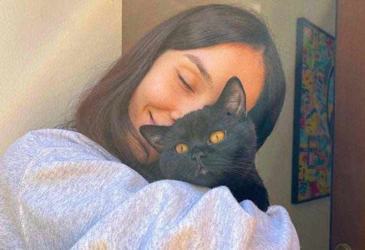 Paola Di Benedetto e i suoi gatti