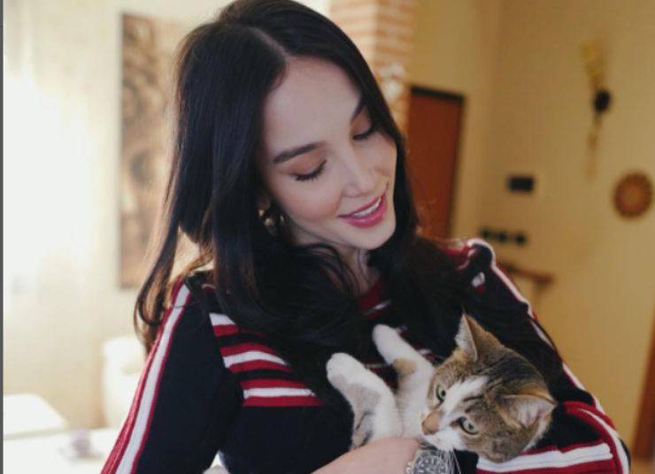 Paola Di Benedetto e i suoi gatti