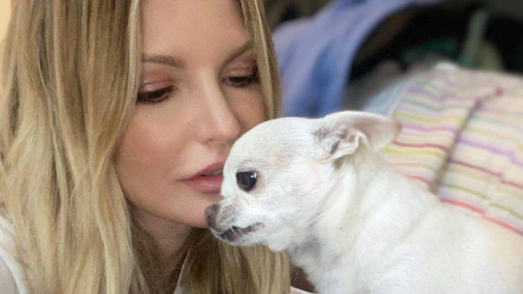 Licia Nunez e i suoi cani